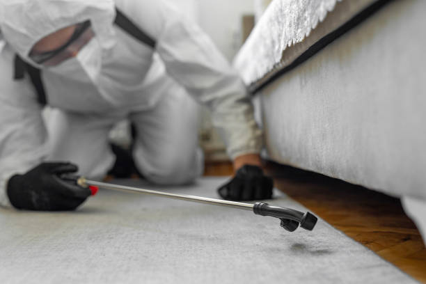 Professional Bed Bug Control technician working in Twin Falls County County, ID